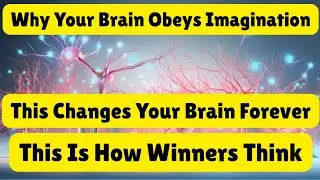How Visualization Changes Your Brain | Neuroscience of Success Explained