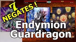 Endymion Guardragon | UNBREAKABLE BOARDS + EASY OTKs