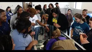 Insights into LSU Vet Med '23