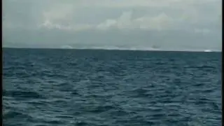 Paulo Maia atravessa o Canal da Mancha