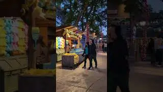 Christmas Lights in Camp Snoopy 12/5/25 Knott's Merry Farm #shorts