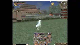 War 3 kingdom reborn