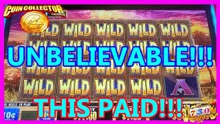 EPIC JACKPOT HANDPAY on Coin Collector!!! MUST SEE!!! WILDS EVERYWHERE!!! #730slots #slots #casino