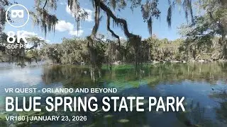 Blue Spring State Park Manatees - VR180 8K 50 FPS