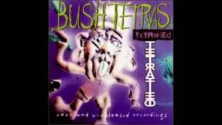 6-Bush Tetras-Funky Dub