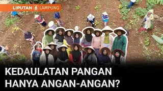 Jalan Berliku Neneng dan KWT Mentari di Tengah Gencarnya Swasembada Pangan | Liputan 6 Lampung