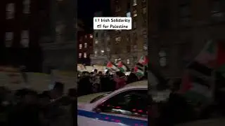 🇵🇸 Irish Solidarity in Pro Palestinian Protest Manhattan New York