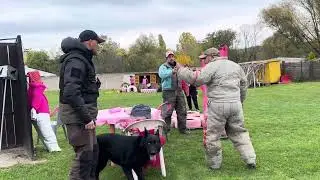Orca handler defence 