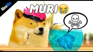 LE PUSO AGUA HIRVIENDO PARA CALENTARLO