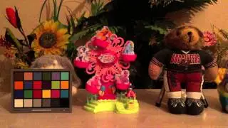 Apple iPhone 6 Indoor Sample Video