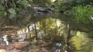 Healing Stream Ambience &ndash; Gentle Water Sounds for Deep Relaxation | Healing Rhythmic Sounds 