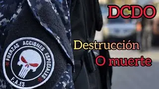 &iquest;Que Paso Con Las Fuerzas De Acciones Especiales? (F.A.ES) 