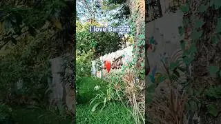 #I love Bandra Mumbai 😍 Short Video Reels YouTube By Ansari Minhaj #