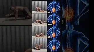 No More Lower Back Pain! #lowerbackexercises #gym #absworkout #fypシ #fitness