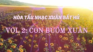 VOL 2: CON BƯỚM XUÂN 🌸 Hòa tấu nhạc xuân bất hủ 🌸 Lắng Nghe Nhạc Xuân Hoà Tấu Bất Hủ 2026 🌸