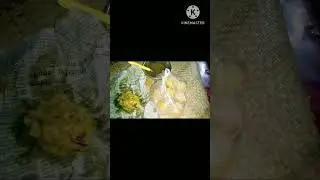 🤤 Pani Puri shorts #viral #shorts