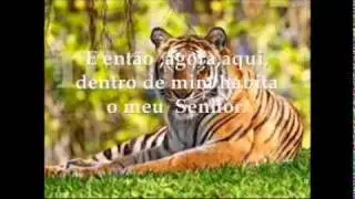 Meu Deus oh! Meu Senhor
