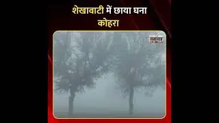 Sikar: शेखावाटी में छाया घना कोहरा #sikar #rajasthan #weatheralert #fog #temperature #gantantranews