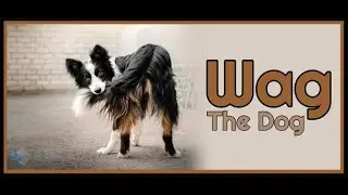 tim west - Wag The Dog