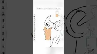 The flash