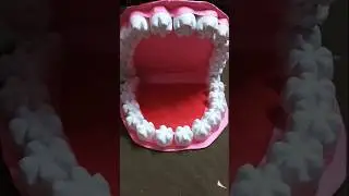 teeth model #artscraft #art
