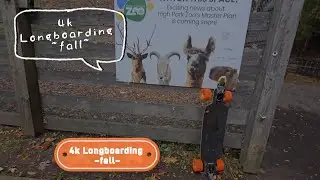 Sound Therapy Longboard High Park