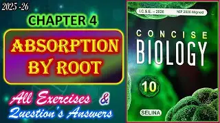 Absorption by roots | Class 10 Biology | Chapter 4 | All Answers | 2025-26