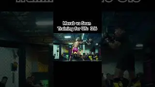 Very serious training for ufc 316