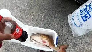 #fishing port lavaca tx