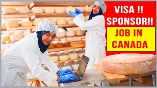 Cheese Factory Worker in Canada with Visa Sponsorship
