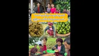 “တောင်သူလုပ်ရတာ မလွယ်ပါဘူးတော်…”