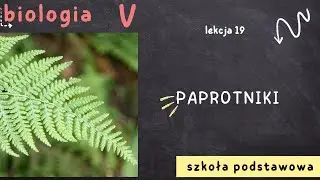 Biologia klasa 5 [Lekcja 19 - Paprotniki]