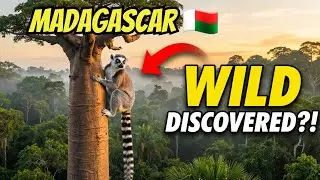 Madagascar: The Island Where Nature Broke All the Rules