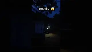 മാടൻ😱 #madan #ghost #churuli #churulimovie #horror #horrormusic #scary #malayalam #temple #kerala