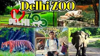 Delhi zoo vlog 2026 | Delhi chidiya ghar Idelhi zoo all animals video 2026 | delhi zoo