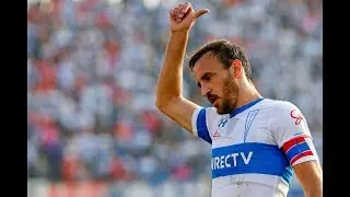 Jos&eacute; Pedro Fuenzalida - UC - Review - 2019.