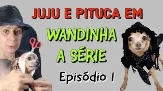 PITUCA EM WANDINHA A SÉRIE - EPISÓDIO 1
