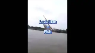 Why unwritten leviathan always wins #dccomics #unwritten #leviathan #unwrittenleviathan #chemistry