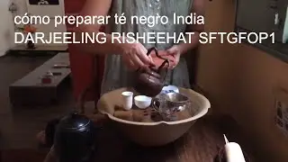 C&oacute;mo preparar t&eacute; negro India DARJEELING RISHEEHAT SFTGFOP1