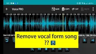 How to remove vocal form song using voice pro(2020)?