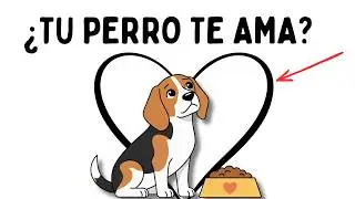 ¿Por Qué Los PERROS Nos AMAN Tanto? (La Ciencia Del Vínculo)