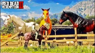 Arthur's Incredible Adventure at Emerald Ranch: Taming Rare Horses & Encountering a Ginormous Fox!