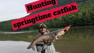 Spring time catfishing on the Tennessee River.