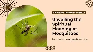 Spiritual Meaning of Mosquitoes