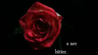 ‘YOUR…’