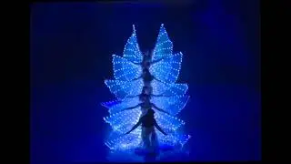 Spectacular LED Dance show | Wedding dance show | LED Wings Ladies dance Show | Bride revealing Show