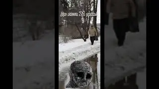 10 мая 2024 г.