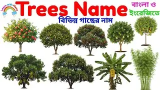 Tree Names|বিভিন্ন গাছের নাম|Learn 20 Trees Name in English &Bangla with Pictures for kids|Preschool