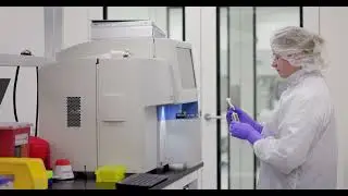 Building a trans-Atlantic pipeline of beta cells to speed up research | Diabetes UK