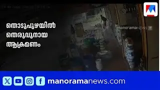 തൊടുപുഴ കലൂരിൽ തെരുവുനായ ആക്രമണം; മൂന്നുപേർക്ക് കടിയേറ്റു | Stray Dog Attack